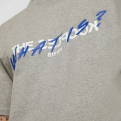 The Kooples TEE - T-shirt Con Stampa - Grey Melange, Uomo -Vendite The Kooples 420d8741602949e7b32ce7629530b8d3